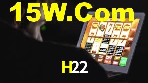 Premium Interface H22
