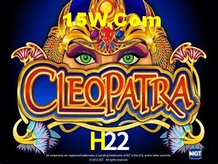 Login Seguro H22